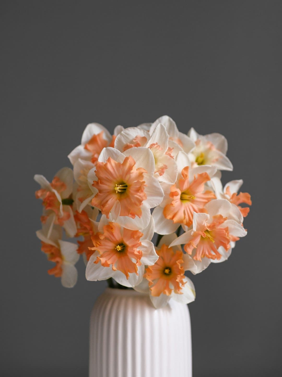 https://p3.img.cctvpic.com/photoworkspace/contentimg/2025/09/06/2025090609253635953.jpg